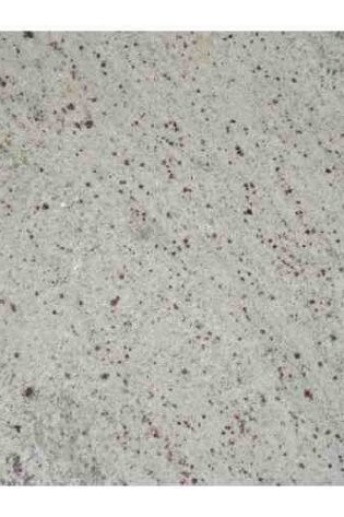 Amba White Granite