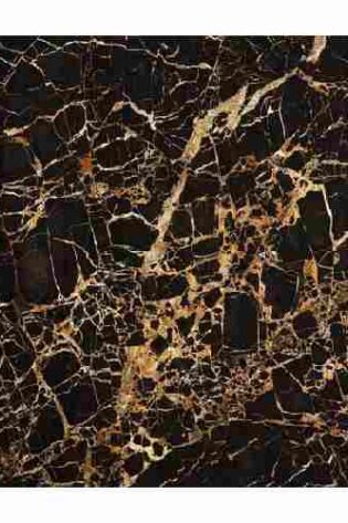 Bhandari Marble World's Golden Black