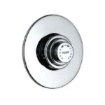 Parryware Flush Valve T3307A1