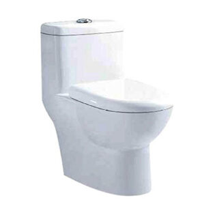 Parryware Cute Single Piece S-300MM Commode C8851