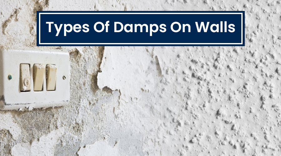Types of damps on walls