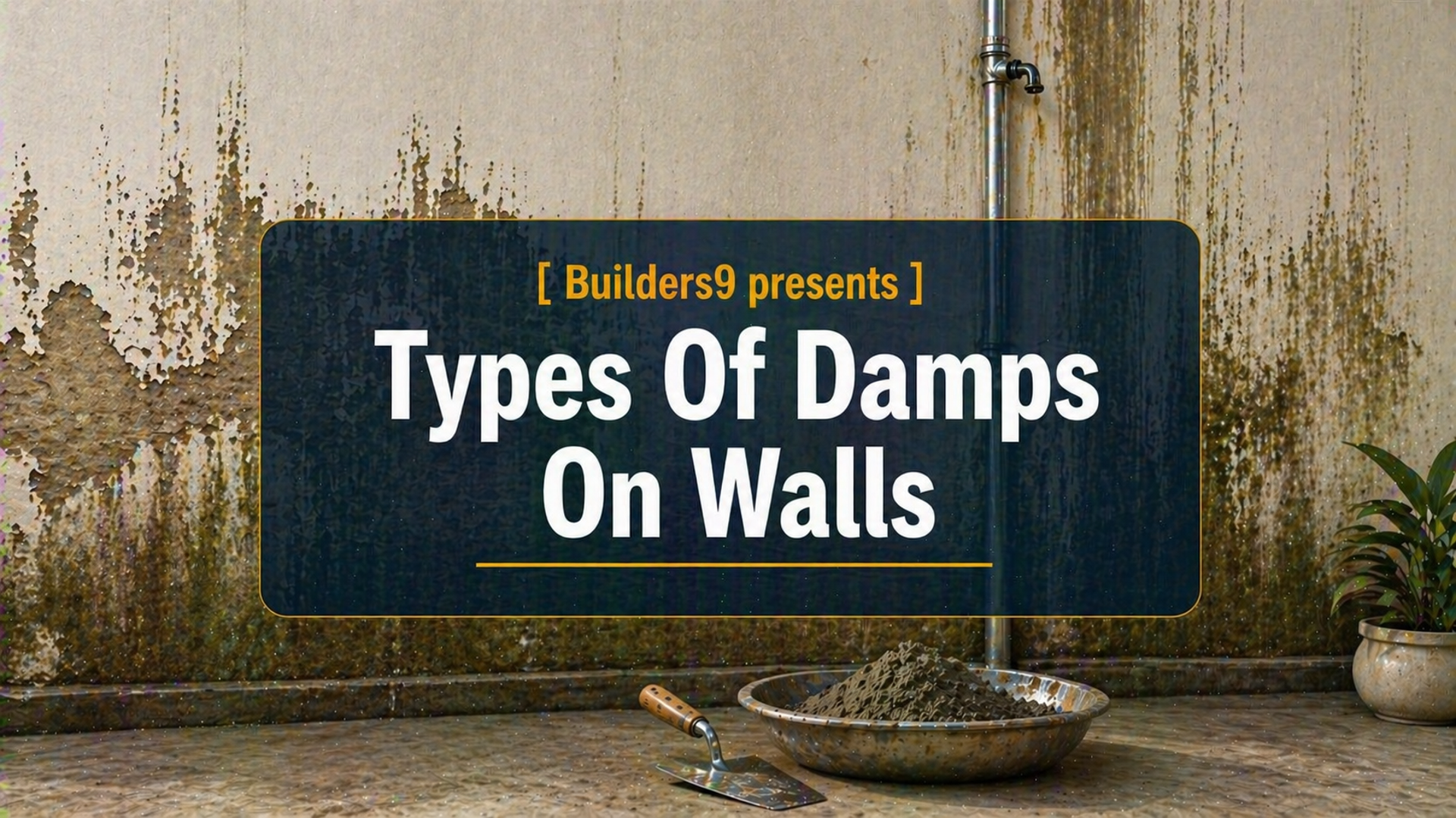 Damp wall with peeling paint, water stains, and mold growth showing moisture damage inside a building